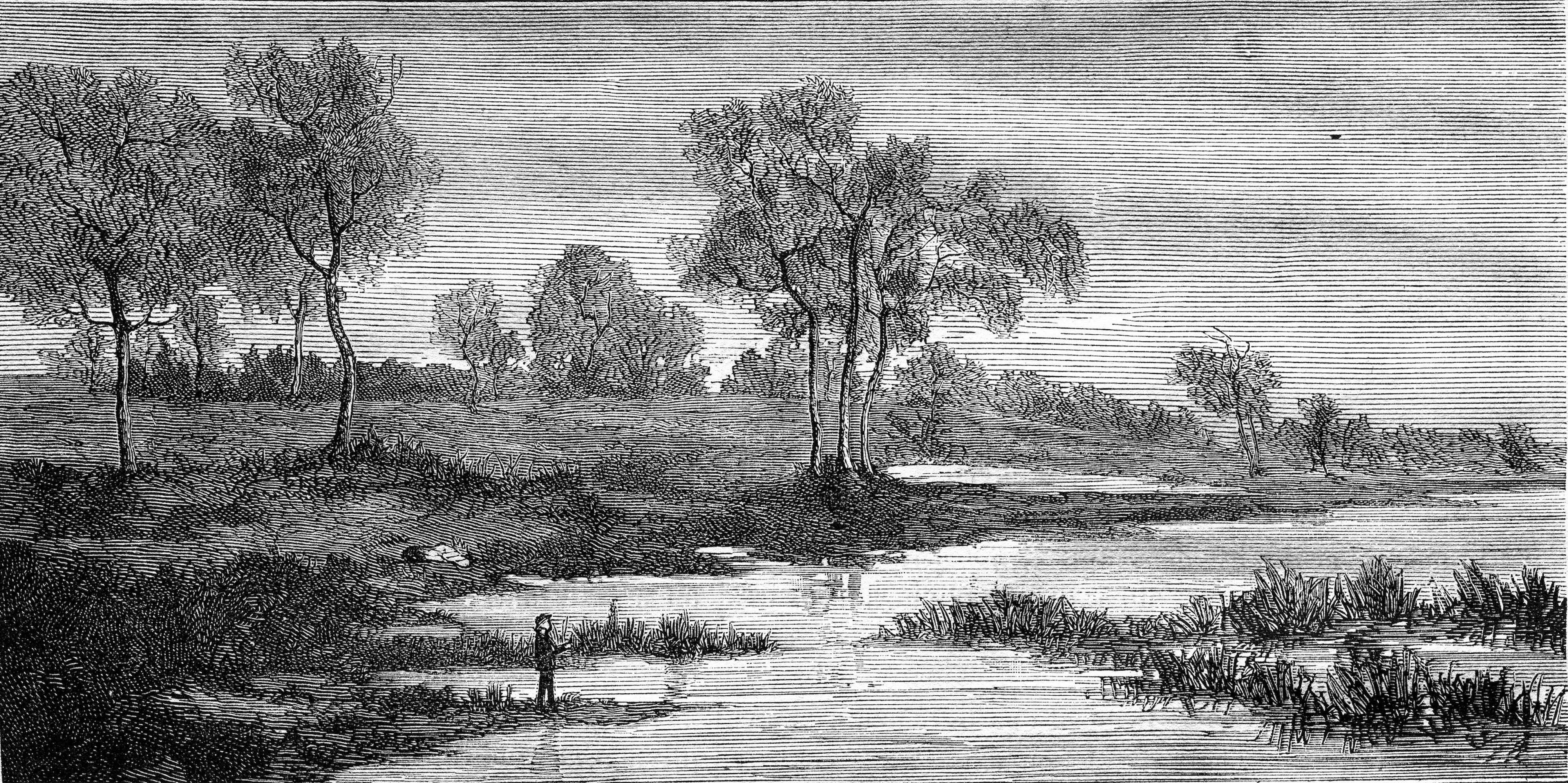 Angus - Vintage Drawing Etching River Scene Wallpaper Mural - Image 3