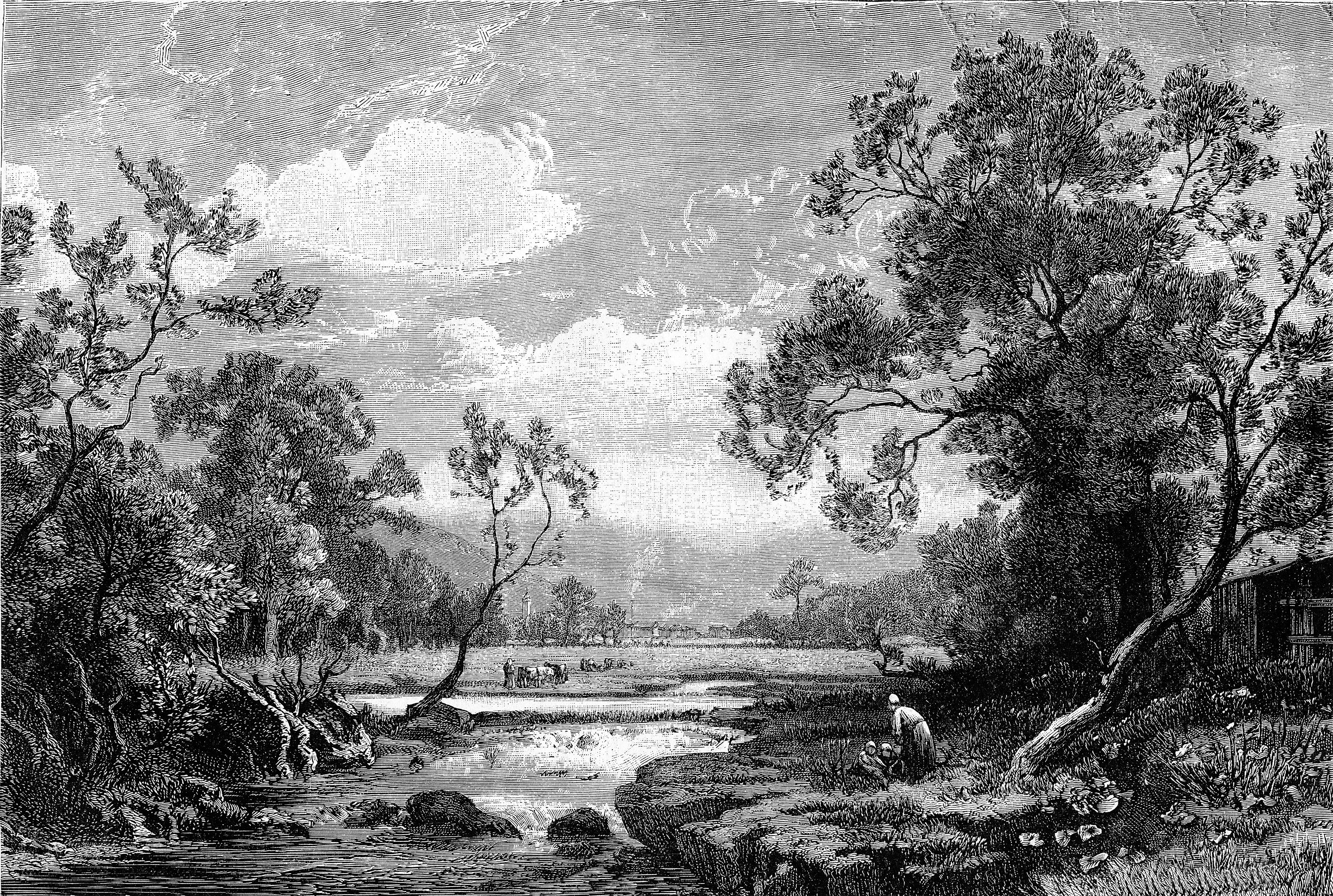Tanetrict - Black and White Etched Countryside River Bank Mural - Image 5