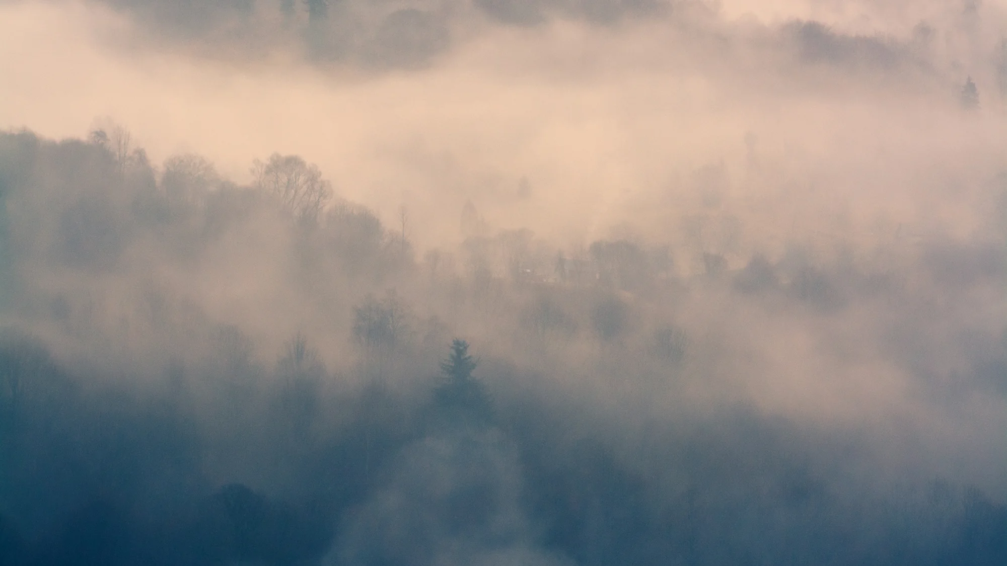 Twilight Mist Retreat - Blue Misty Forest Scandinavian Wallpaper Mural - Image 4