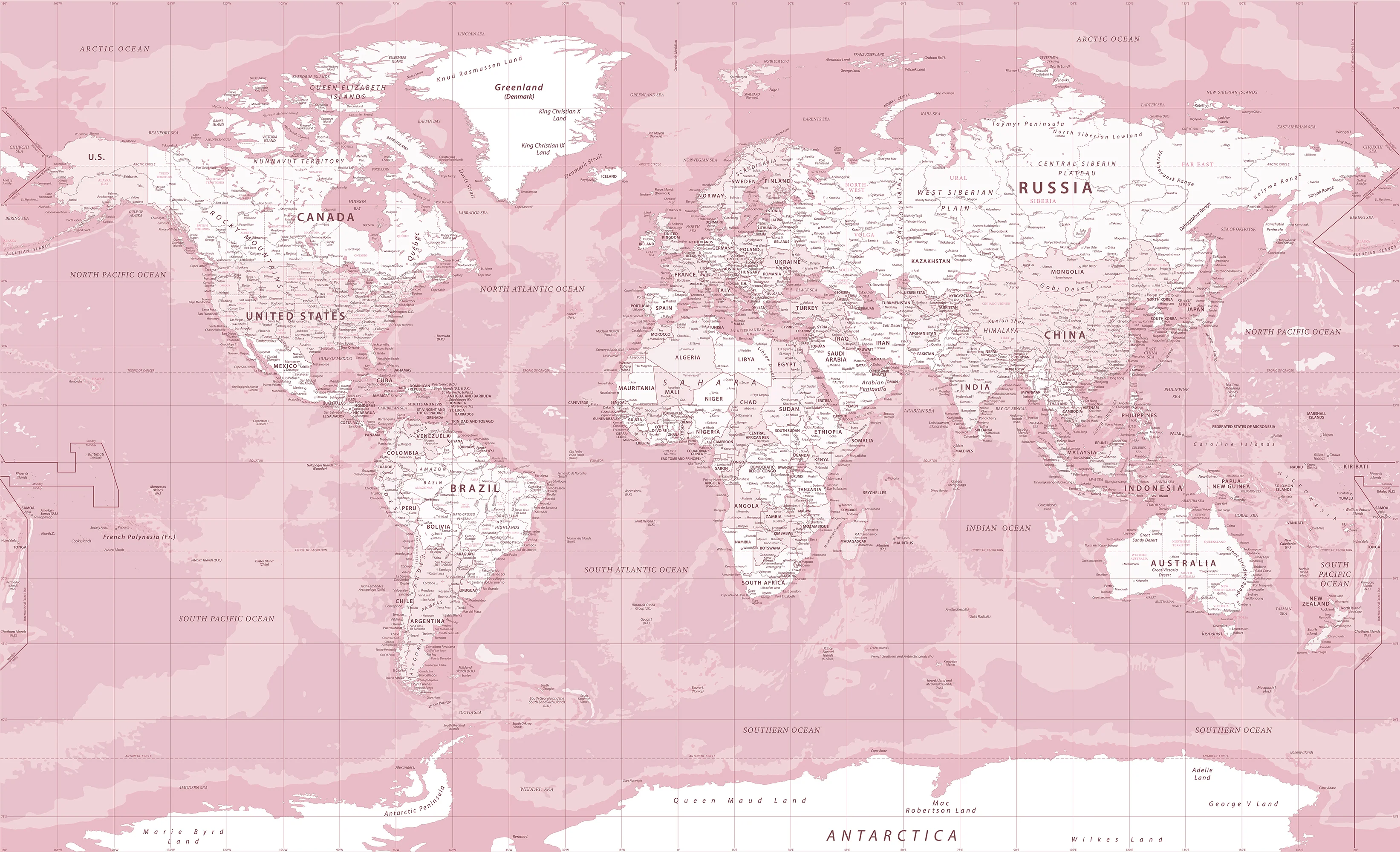 Pink World Map - Pink World Map Wallpaper Mural - Image 4